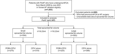 Effect of epicardial fat volume on outcomes after left atrial posterior wall isolation in addition to pulmonary vein isolation in patients with persistent atrial fibrillation